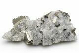 Gleaming, Cubic Pyrite Crystals with Quartz Crystals - Peru #233425-1